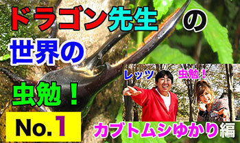 虫勉No.1サムネイル1.jpg