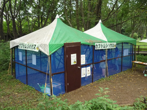 kinenpark110727b.jpg