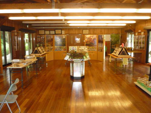 kinenpark110727d.jpg