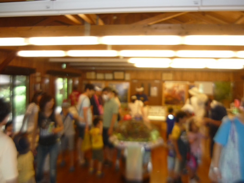 kinenpark110727e.jpg